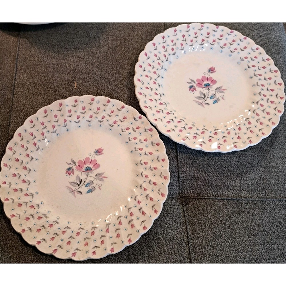 Lot Of 2 Olde Chelsea Miniature Staffordshire England  8" Plates Pink Florals